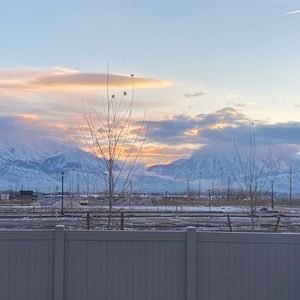 Meet your Posher, Krystal